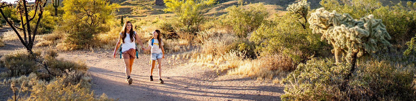 Two hikers on a desert trail among saguaro cacti